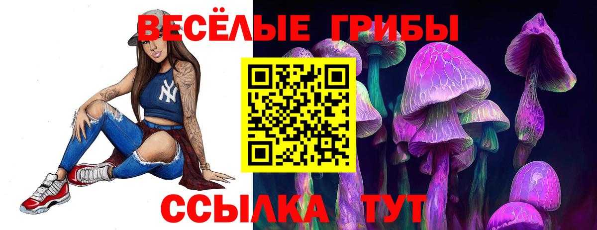 Псилоцибиновые грибы прущие грибы  Вход с VPN  где найти наркотики  Псилоцибиновые грибы MAGIC MUSHROOMS  Карталы 